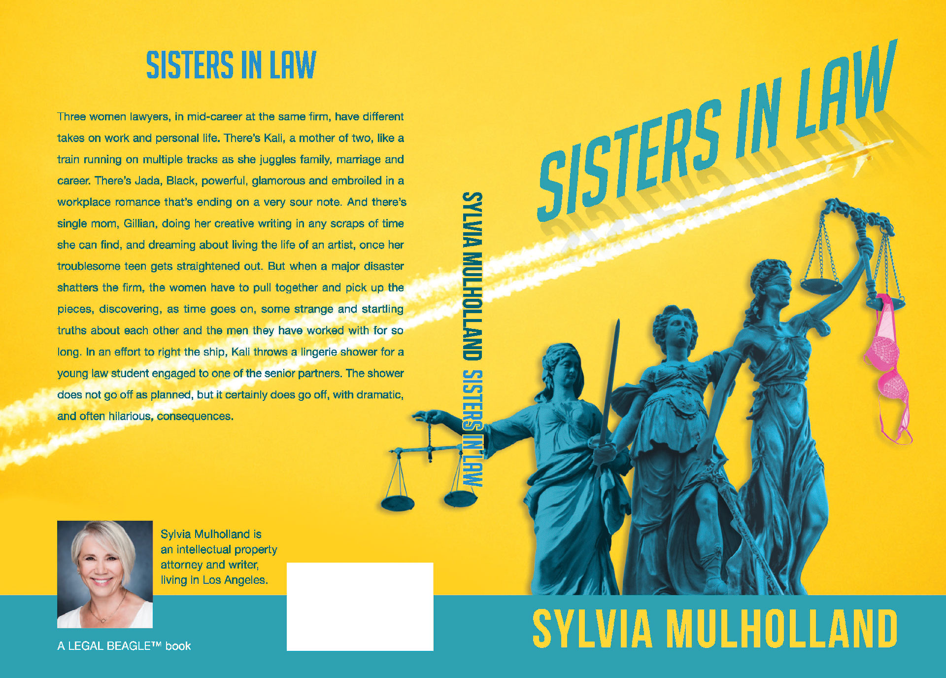 Sisters in Law Book Cover